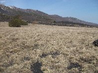 Serra_Pizzuta - 20100321 086.jpg